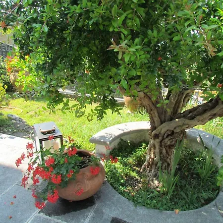 Διαμέρισμα Welcome Traveller Alema House *
